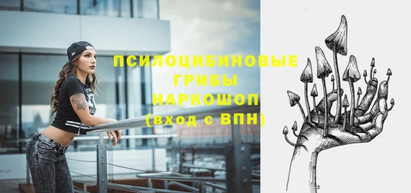 спайс Алзамай