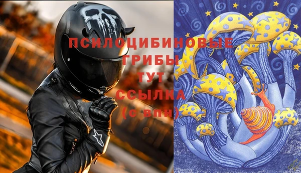 соль ск Арсеньев