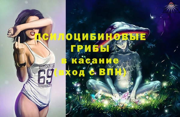 Альфа ПВП Армянск
